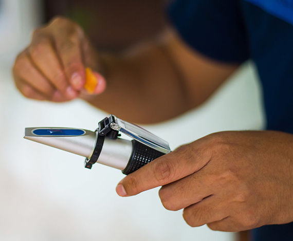 永利集团·yl8cc(中国游)官方网站